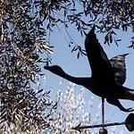Tenuta Il Risveglio Farmház Imperia