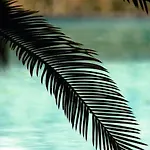Tenuta Il Risveglio *