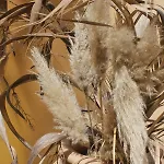 Tenuta Il Risveglio Farmház *