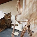 Farmház Tenuta Il Risveglio