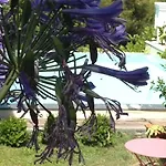 Tenuta Il Risveglio *