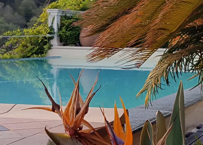 Tenuta Il Risveglio *