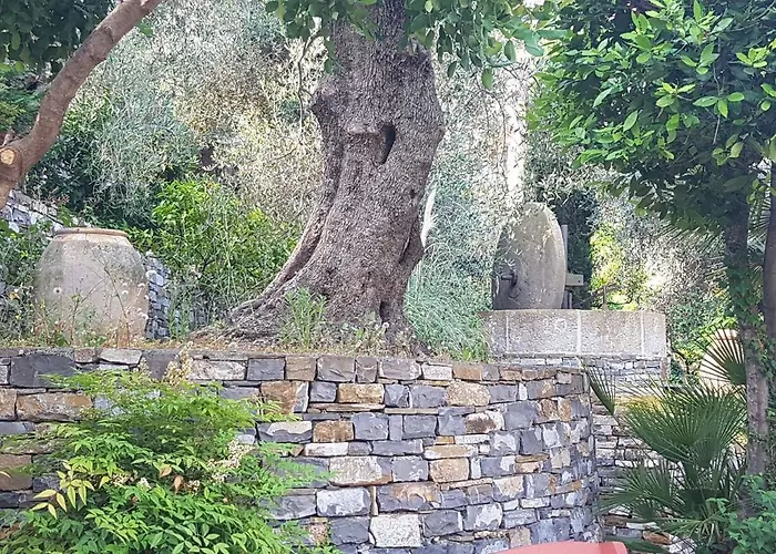 Tenuta Il Risveglio Lantgård *