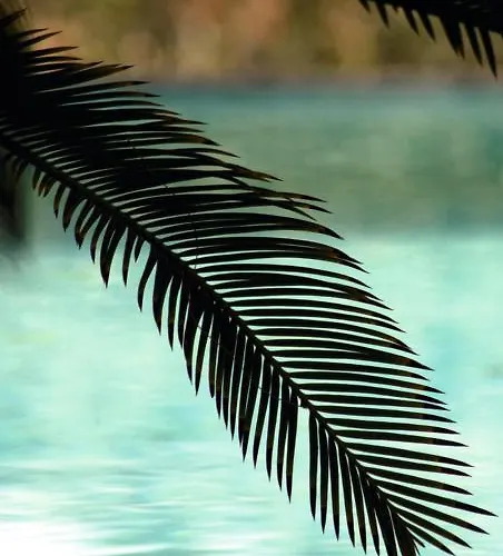 Tenuta Il Risveglio *