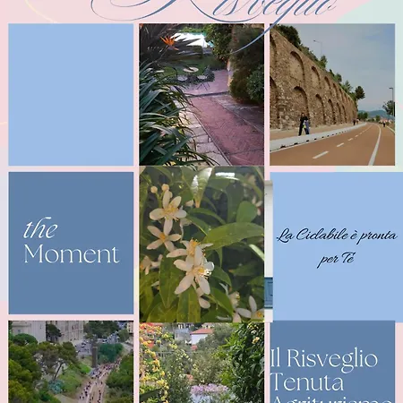 Tenuta Il Risveglio Imperia