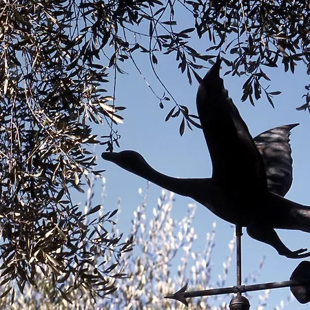 Tenuta Il Risveglio Feriegård Imperia