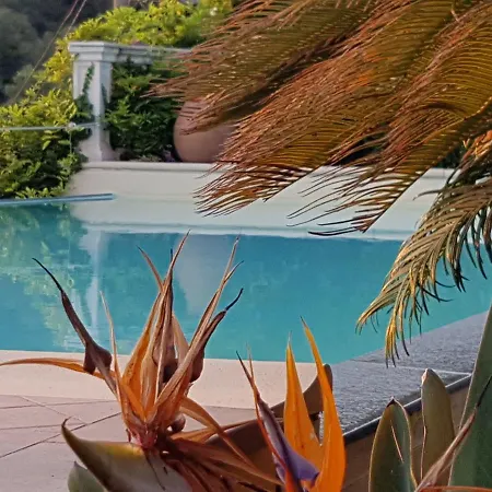 Tenuta Il Risveglio *