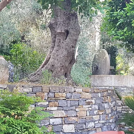 Tenuta Il Risveglio Feriegård *