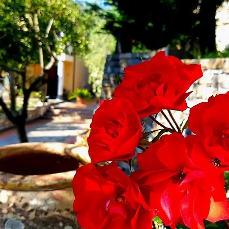 Tenuta Il Risveglio * Imperia