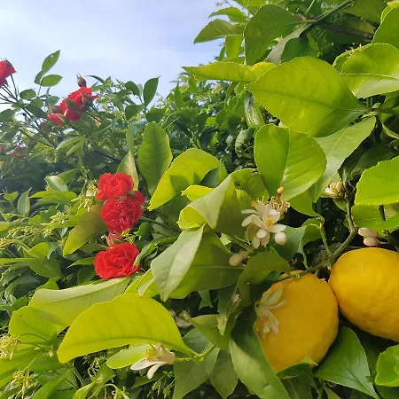 Tenuta Il Risveglio Feriegård Imperia