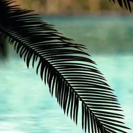 Tenuta Il Risveglio *