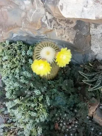 Feriegård Tenuta Il Risveglio *