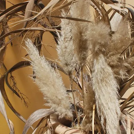 Tenuta Il Risveglio 农家乐 *