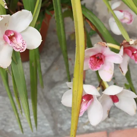 Tenuta Il Risveglio * Imperia