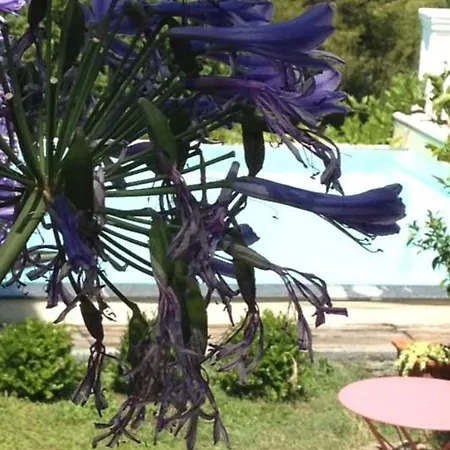 Tenuta Il Risveglio *
